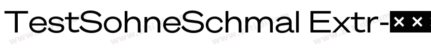 TestSohneSchmal Extr字体转换